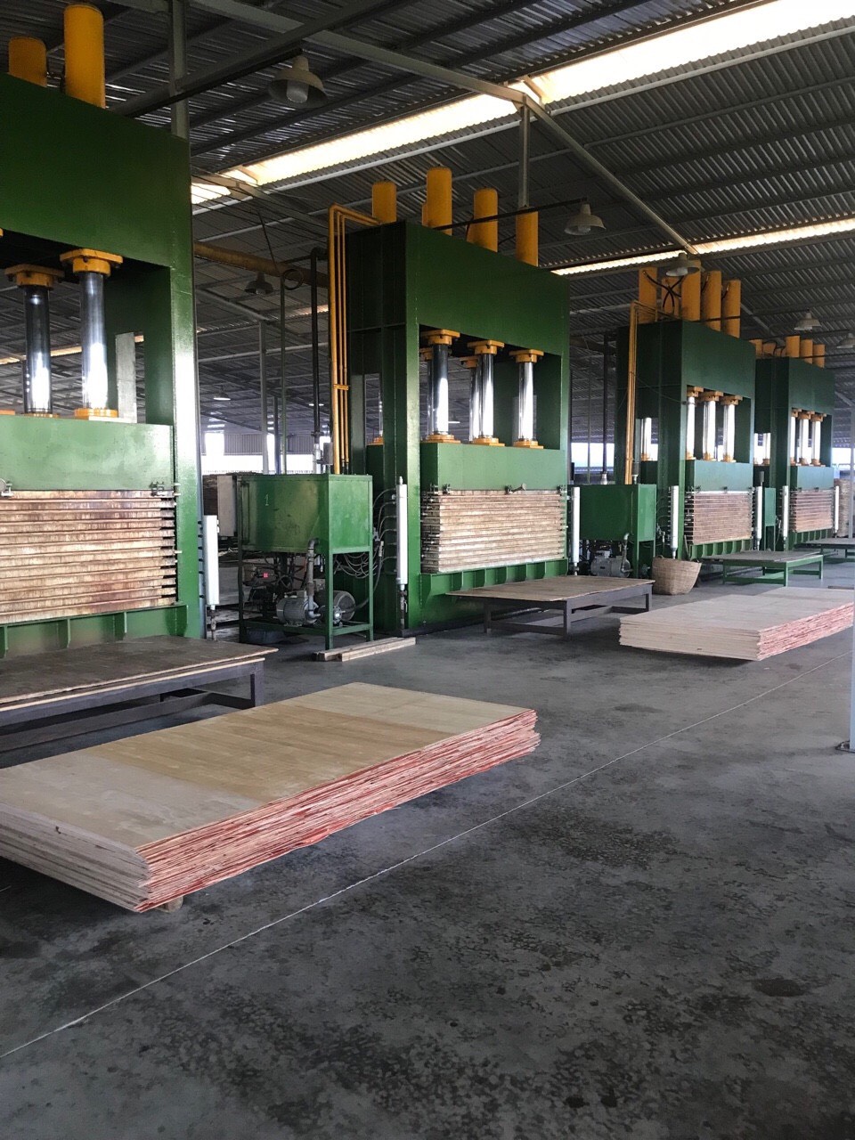 Ván ép phủ keo, ván cốp pha phủ keo, giá ván ép phủ keo